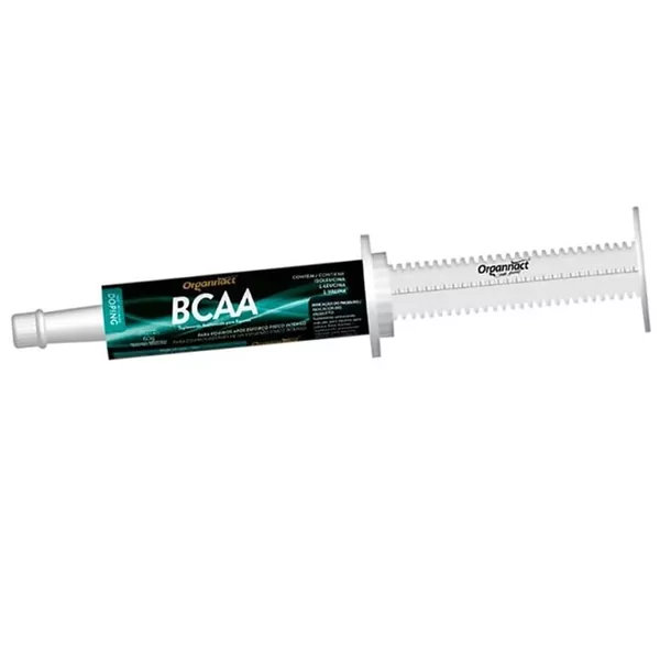 BCAA Bisnaga 60 gramas Organnact