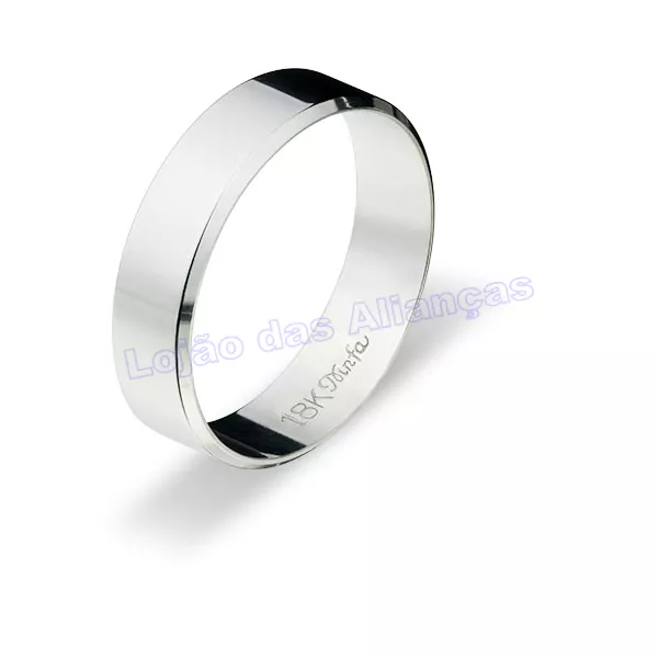 Aliança De Ouro Branco 18k 750 10093.5