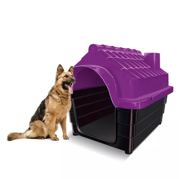Kit Casa para Cachorros com Tigela Preta 300ml N7 | MecPet