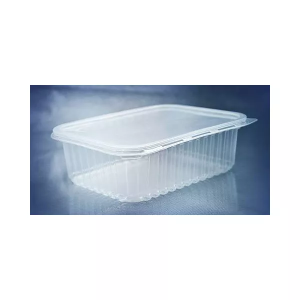 Pote Plástico PP Retangular Prafesta com Tampa 1000ml c/06x24 und