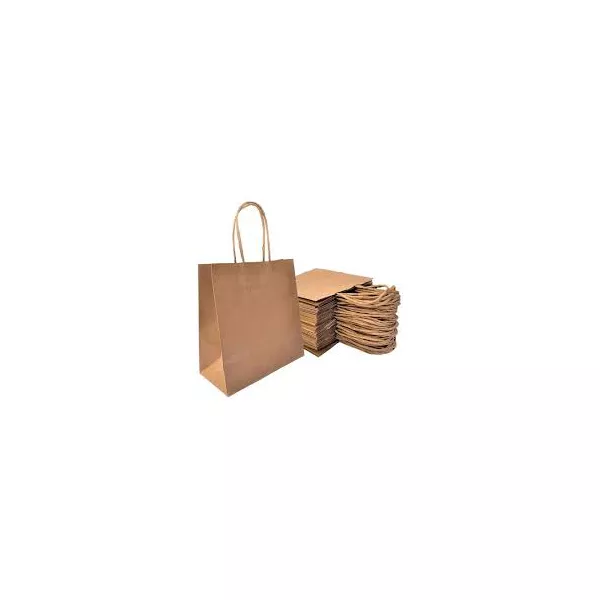 Sacola Papel Kraft Natural Zagarollo 31x12,5x39CM C/10