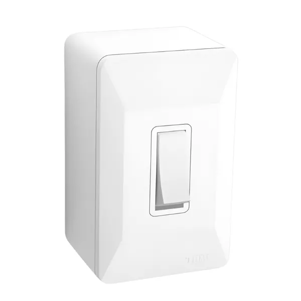 INTERRUPTOR SIMPLES EXTERNO 10A 250V 0604 FAME