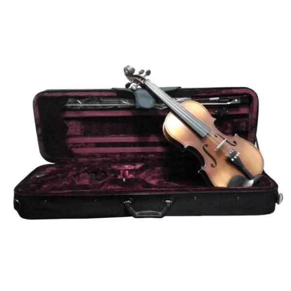 Violino Michael Envelhecido Profissional | RAINHA MUSICAL