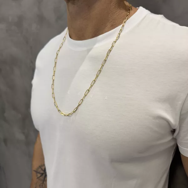 Corrente de Ouro Masculina Facetada Elos Longos 