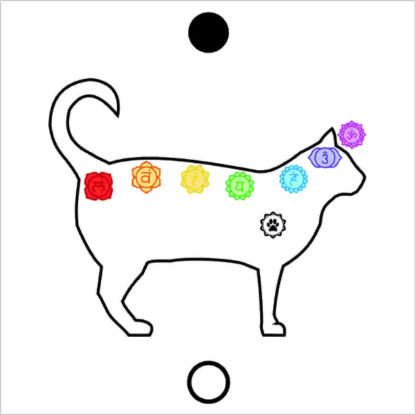 Gráfico Figura Chakras Gato PS PVC | LOJA TERAPEUTA LUCIANA SILVEIRA