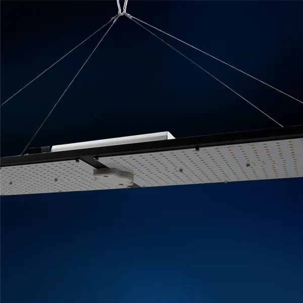 LM301H 植物育成LED 480W MeanWell XLG240 パネル4 Led Grow Quantum Board 240w Lm301h Dimmer | Mean Well Uv Ir | Aqua
