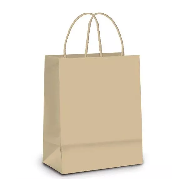 SACOLA PAPEL M 26X19.5X9.5CM KRAFT PARDO CROMUS - 197458 - CHOKDOCE