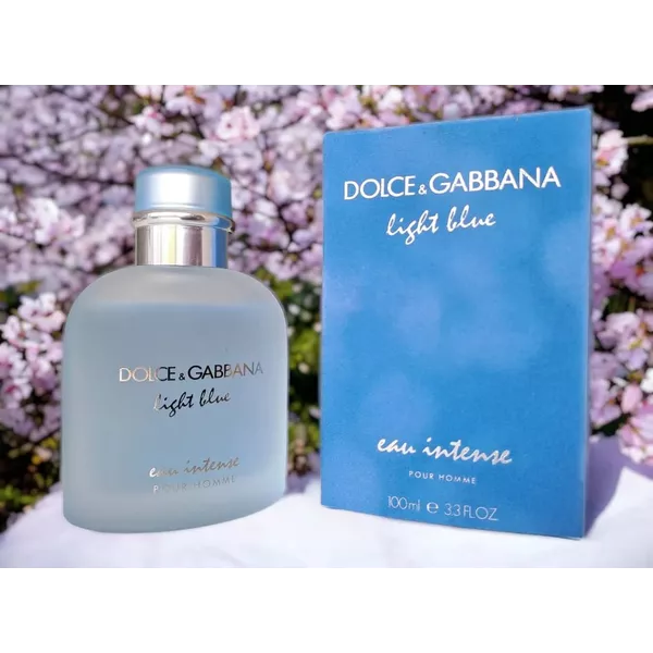 Dolce &amp; Gabbana Light Blue Pour Homme eau de toilette
