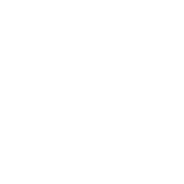 sapatotop