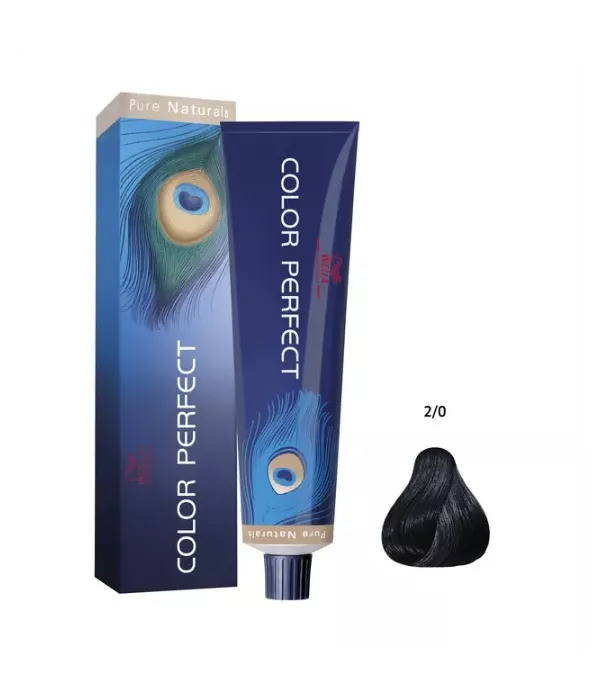 Color Perfect 2/0 Preto Negro 60g/60ml