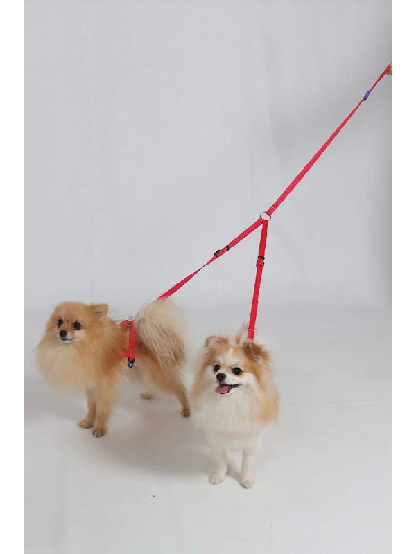 Coleira Peitoral Para Porte Pequeno Bicolor - 000... - Comprou Já