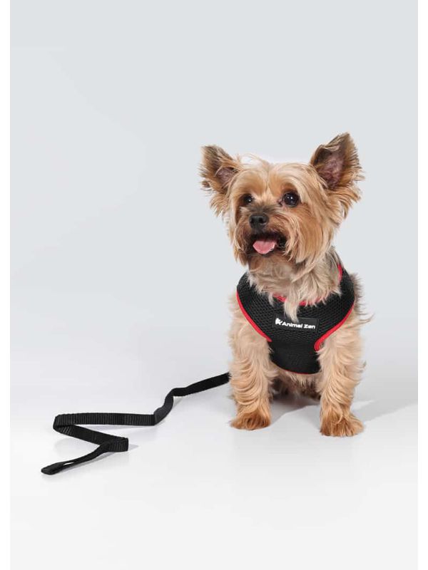 Colete Com Guia Para Cachorro Bicolor - 0000590002... - Comprou Já