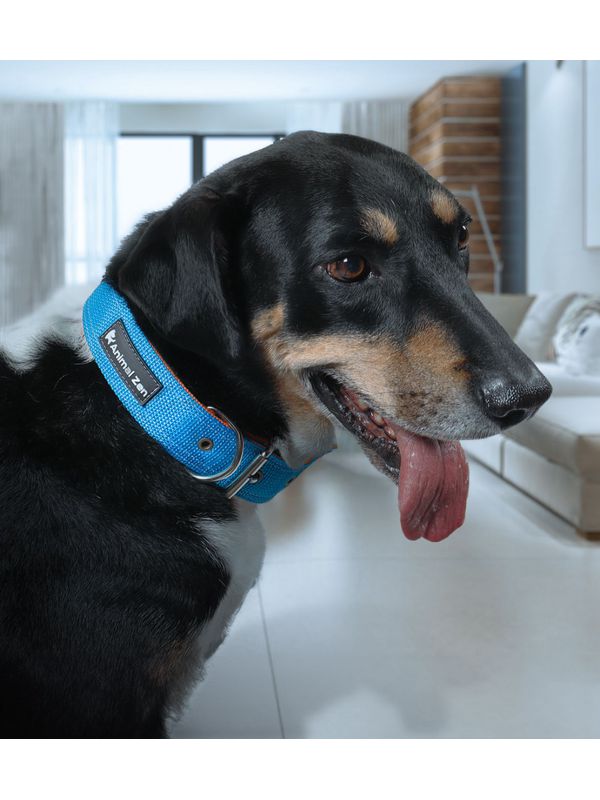 Coleira De Pescoço Para Cachorro Porte Grande Bic... - Comprou Já