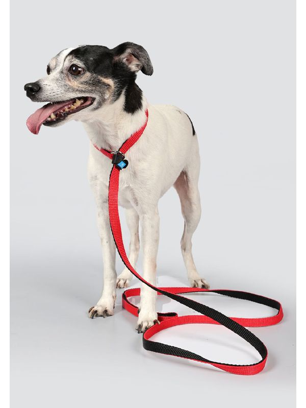 Guia Unificada Bicolor - 000056000200003 - Comprou Já