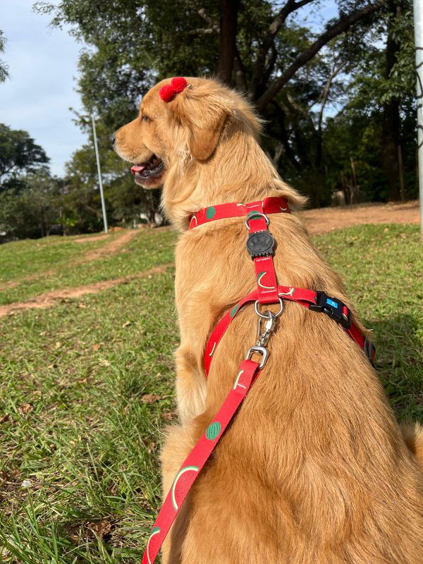 Peitoral H Porte Medio E Grande Estampadas - 00005... - Comprou Já