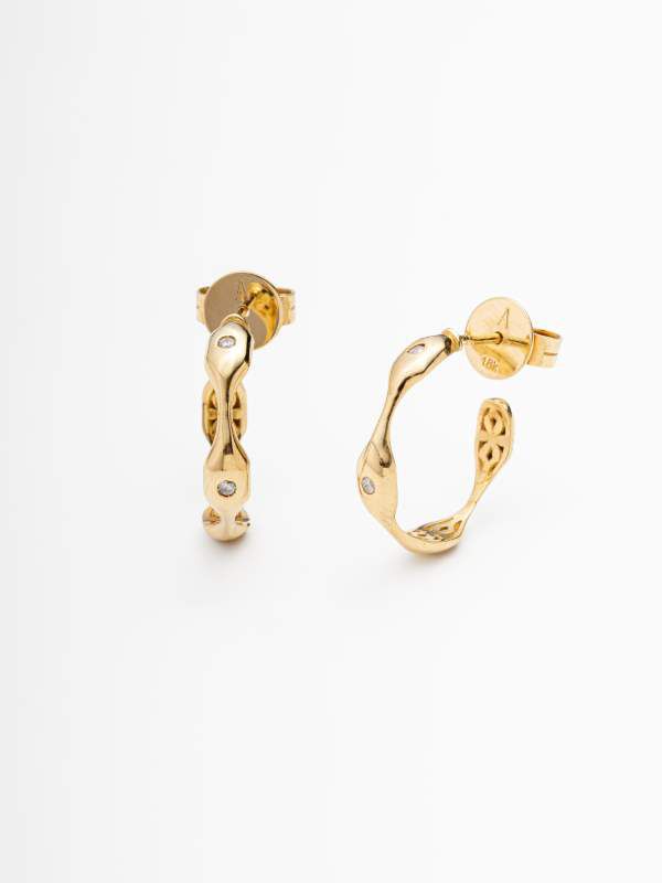 Brinco Argola com Brilhantes