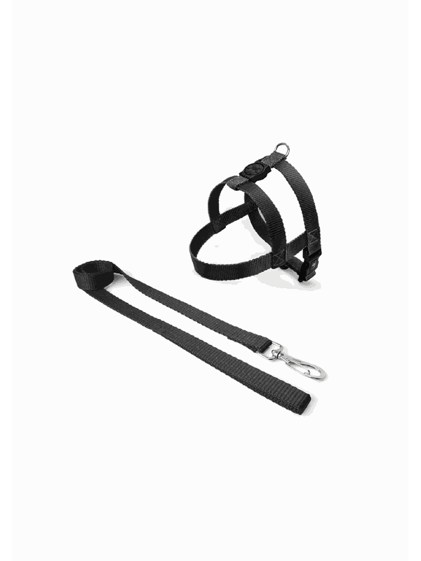 Peitoral Com Guia Para Porte Medio E Grande Bicolo... - Comprou Já