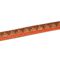Tira de Strass Meia Cana Missone 12mm - Coral, Forro Areia