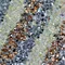Manta De Strass Rivoli Line 24x40cm - Salmon
