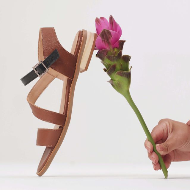 Sandália Rasteira - AFETO - Chocolate e Preta - 862.09