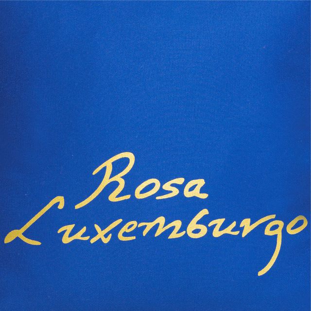 CAPA DE ALMOFADA ROSA LUXEMBURGO - Azul