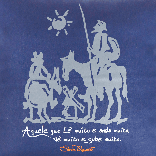 CAPA DE ALMOFADA DOM QUIXOTE - Marinho
