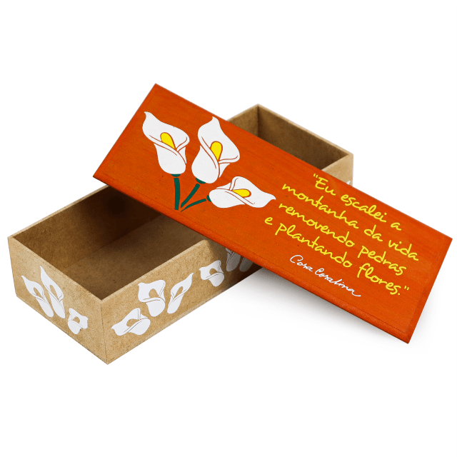 Caixa Bacana Cora Coralina - Montanhas