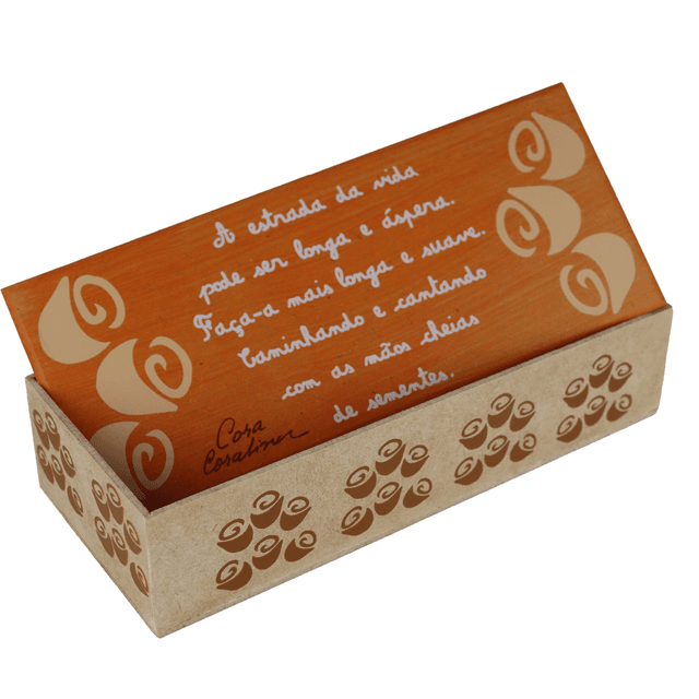 Caixa Bacana Cora Coralina - Estrada da Vida