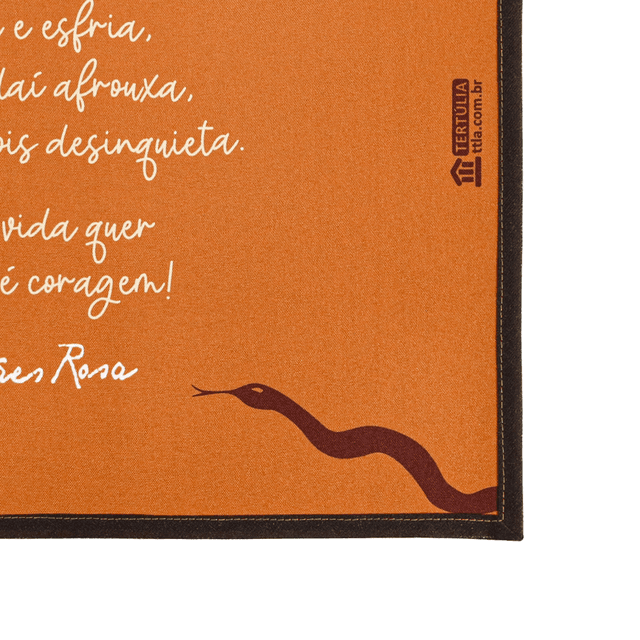 LUGAR AMERICANO GUIMARÃES ROSA - Laranja