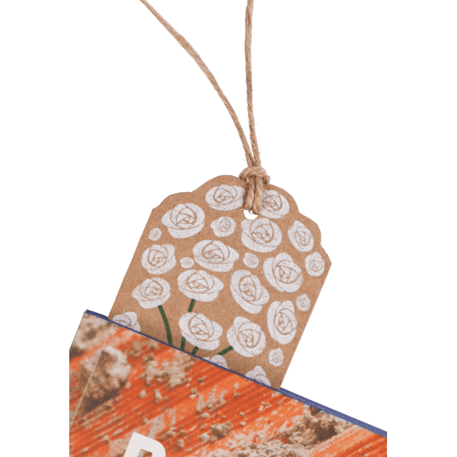 Marcador Cora Coralina - Recria