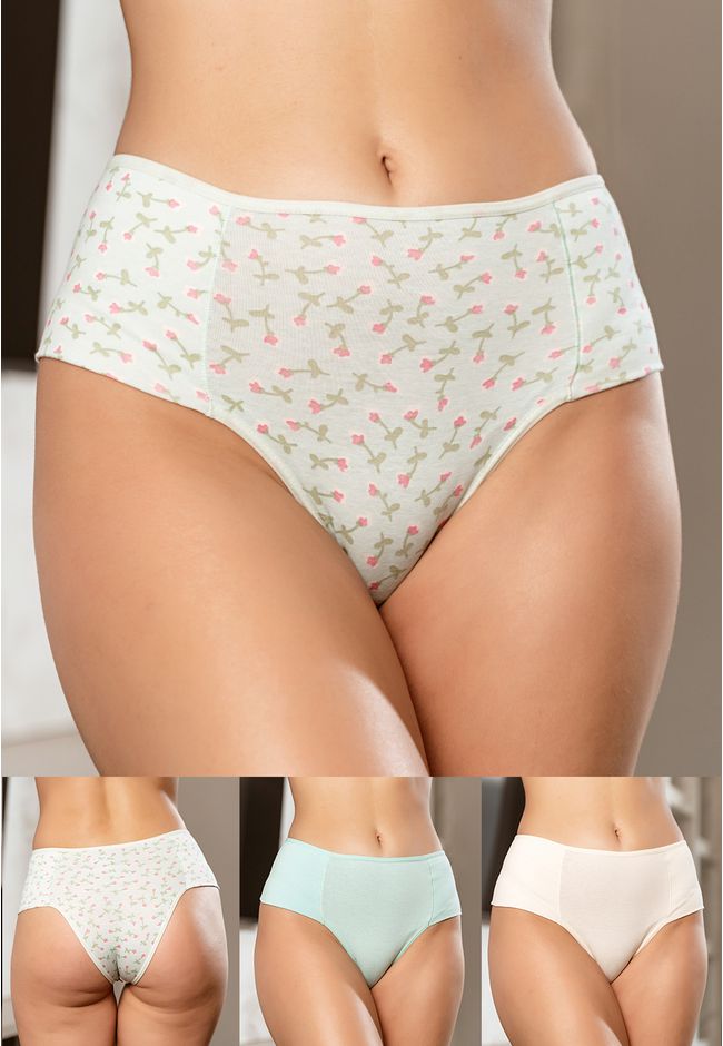 Kit 3 Calcinhas Frelith com 1 Estampa em roseira e... - FRELITH