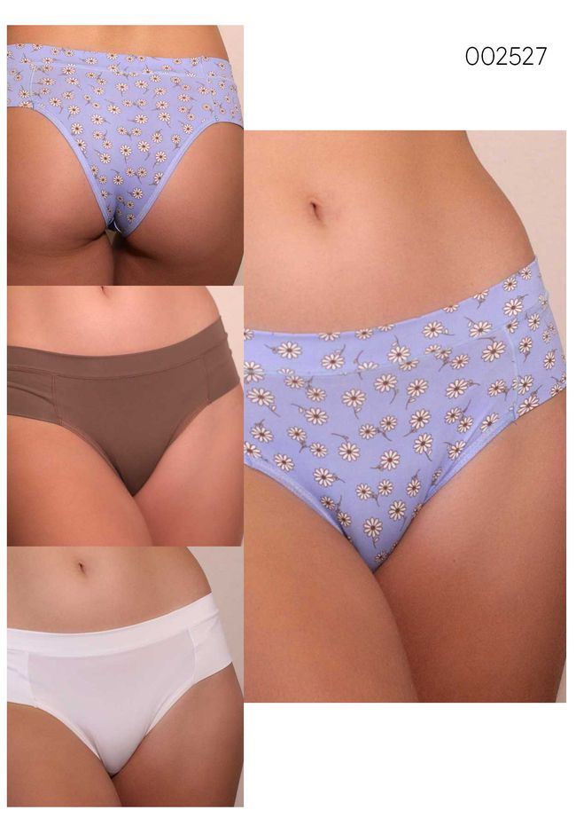 Kit 3 Calcinhas Margaridas Branco Castanho em Micr... - FRELITH