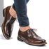 Sapato Casual Masculino Oxford Brogue Mood Transit Café