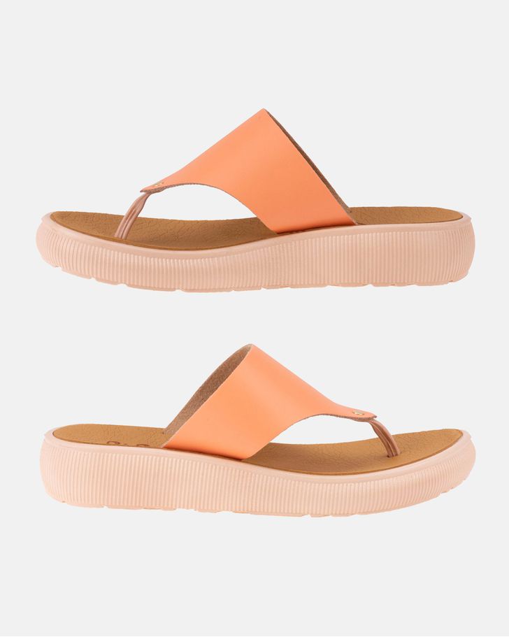 Chinelo Antúrio - Apricot
