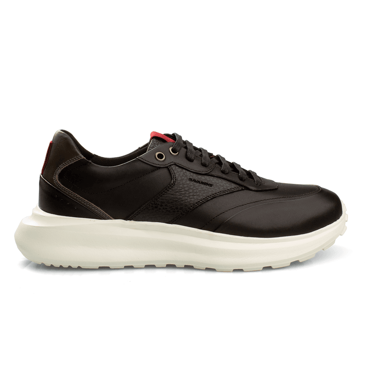 Tênis Sneakers Masculino Bavarone Greene Ref.:5800... - Sapataria Web