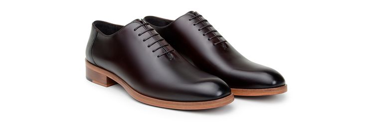 Sapato Social Masculino Oxford CNS Chocolate - 274... - CNS Calçados