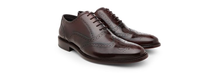 Sapato Social Masculino Oxford Brogue CNS Brown - ... - CNS Calçados