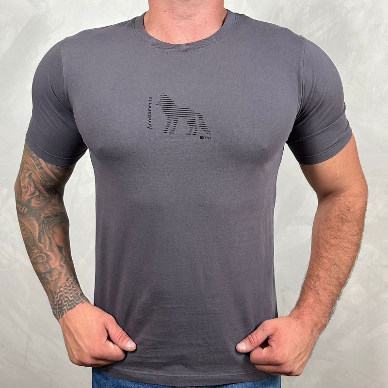 Camiseta ACT Cinza DFC⭐ - 4763 - PORTAL DROP - ATACADO