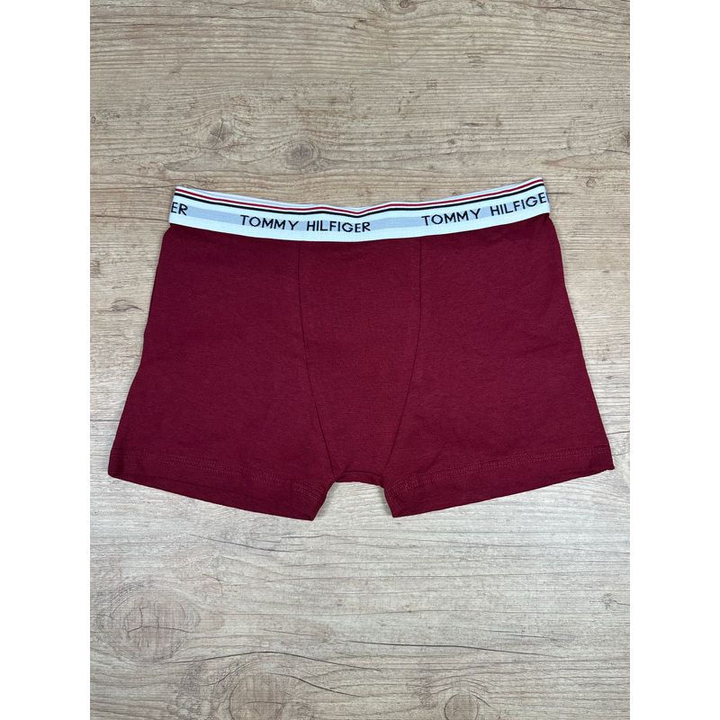 Cueca TH Vinho - 4971 - PORTAL DROP - ATACADO