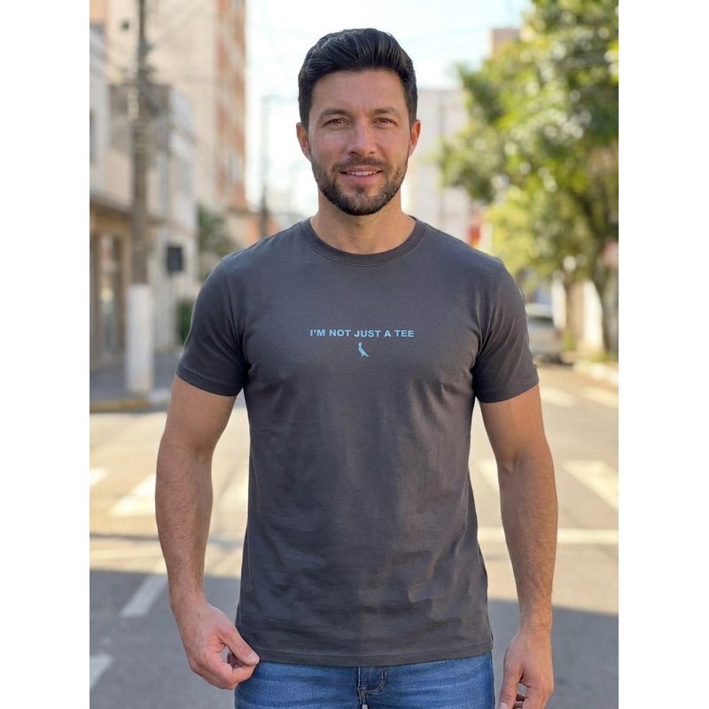 Camiseta RSV Chumbo DFC - 8510 - PORTAL DROP - ATACADO