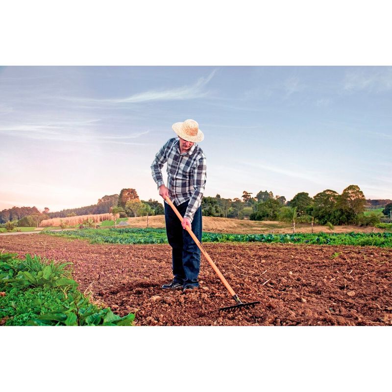 Ancinho Metálico Leve Curvo 16D Sem Cabo (77101/164) - Tramontina