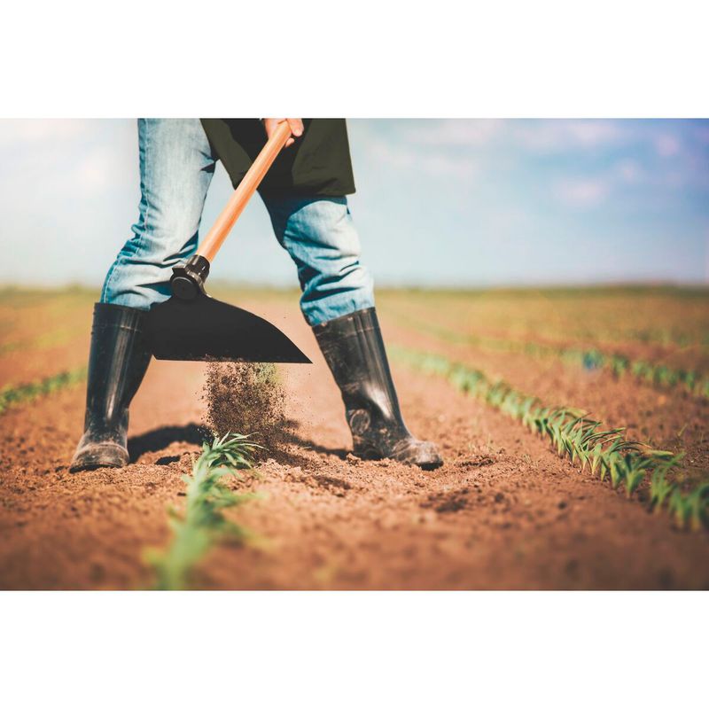 Enxada Canavieira Goivada Sem Cabo 2.0 (77215/204) - Tramontin