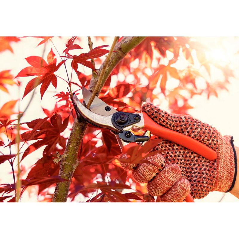 Conjunto de Tesoura e Tesourão de Poda Com Cabo Metálico (78362/805) - Tramontina