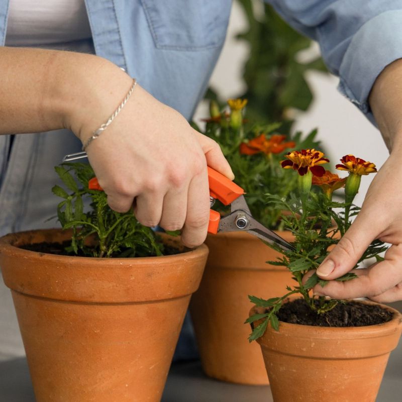 Tesoura Para Frutas Com Cabo Plástico (78301/011) - Tramontina