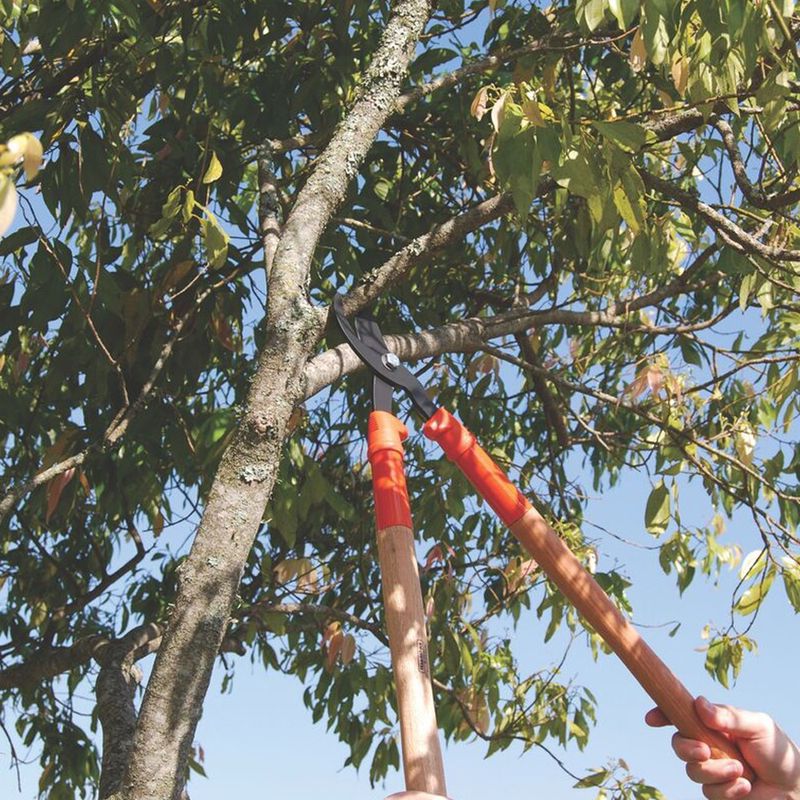 Tesourão de Poda Tipo Bypass Cabo de 60cm - Tramontina