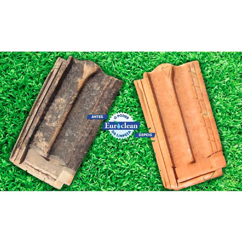 Poderoso Limpador 1 Litro (001) - Euroclean