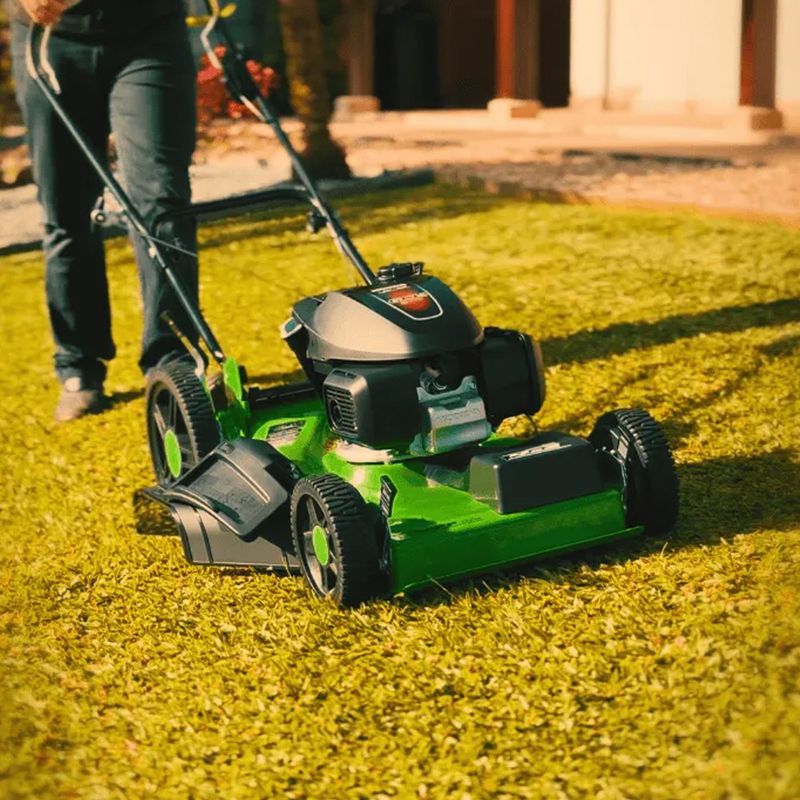 Cortador de Grama a Gasolina Com Recolhedor TH-750 (2935427) - Trapp