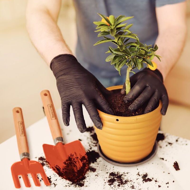 Pazinha Metálica Larga Com Cabo de Madeira (77907/001) - Tramontina