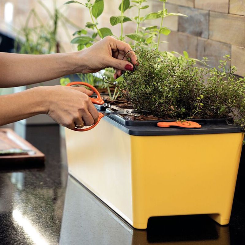 Tesoura Para Frutas em Aço Inox (78310/101) - Tramontina