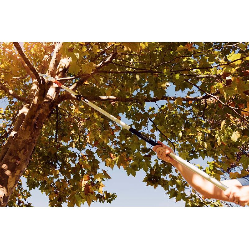 Serrote de Poda Profissional Com Empunhadura Metálica Sem Cabo 13'' (78382/701) - Tramontina